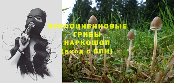 альфа пвп Надым