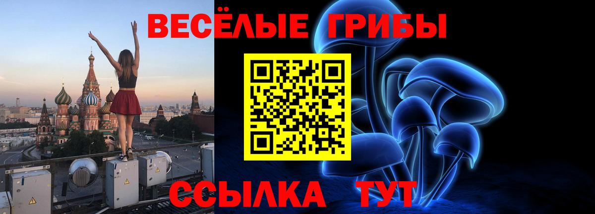 Галлюциногенные грибы MAGIC MUSHROOMS  Вход с VPN  Благовещенск 